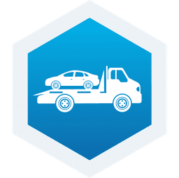 Cứu hộ cầu kéo